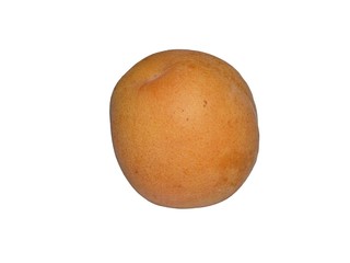 Fruit