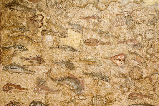 Roman mosaic showing different species of marine life