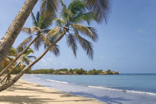 216 Best Plage Deserte Images Stock Photos Vectors Adobe Stock
