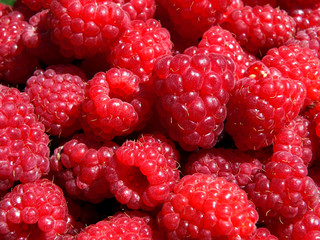 framboises