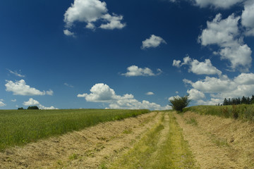 a way across the fields