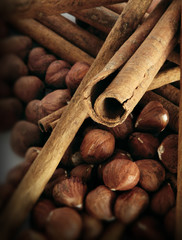 cinnamon and hazel nuts
