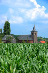 A rural summer scene with church  in Belgium.  