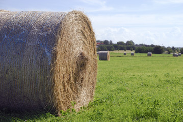 Strohballen