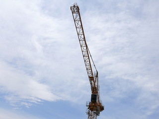 Naklejka premium grue