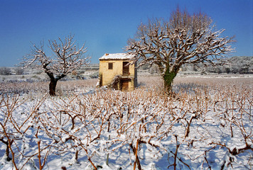 cabanon provencal enneige au milieu des vignes