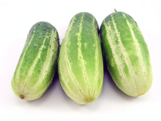 Cucumber