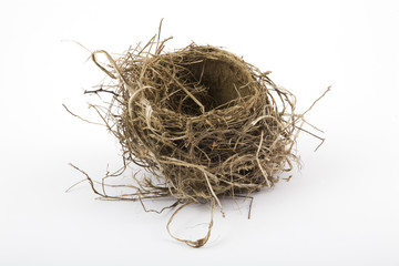 Robin's nest 