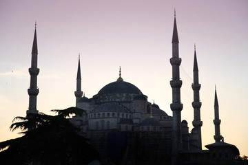 Fototapeta na wymiar Blaue Moschee in Istanbul