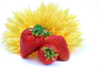 Strawberries and Sunflower