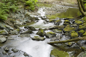 slow stream in northern california