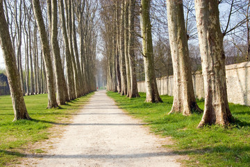 Footpath in the garden at the Palace of Versailles