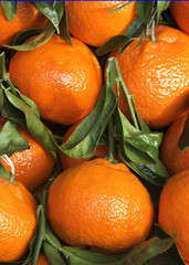 Tangerines at a small street market in Paris France