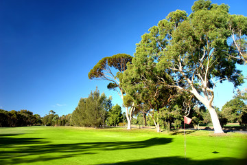 Golf Course on a Summer Day