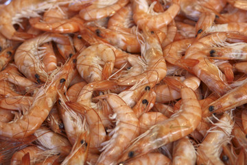 Shrimp at a small fishmarket in Paris France