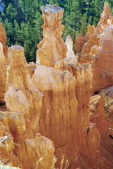 Golden rock formation