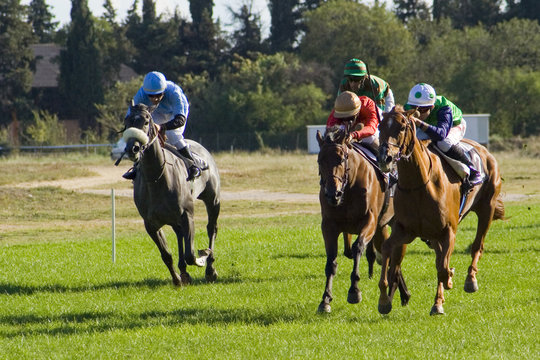 Courses au galot.