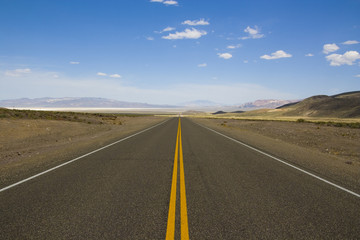 Fototapeta na wymiar Straight Highway in Nevada / USA