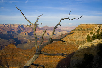 Grand Canyon in Arizone / USA