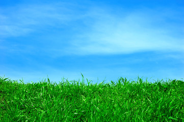 Green field and a blue sky with clouds