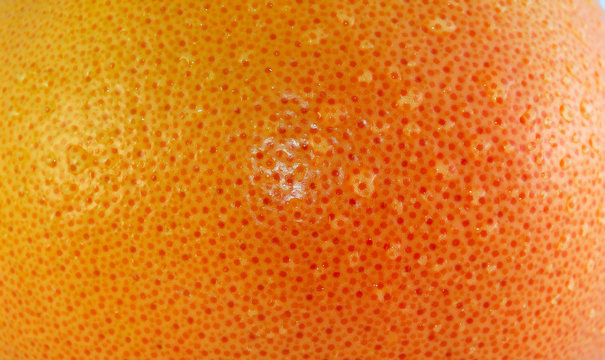abstract textured background: citrus skin