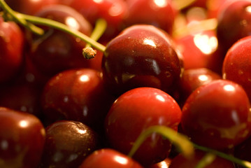 fraises; fruit; rouges; dessert; 