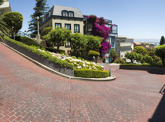 Lombard Street San Francisco