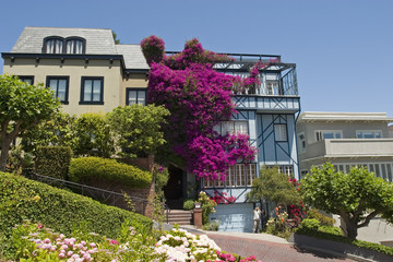 Fototapeta na wymiar Lombard Street San Francisco