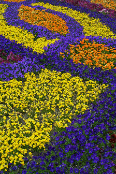 flowers parter