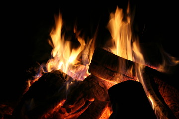 bonfire