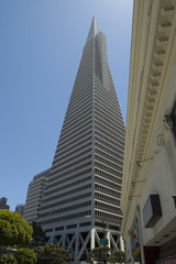 Skyscrapers in Downtown San Francisco