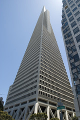 Skyscrapers in Downtown San Francisco