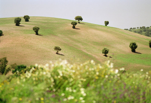 Sanfter H&uuml;gel