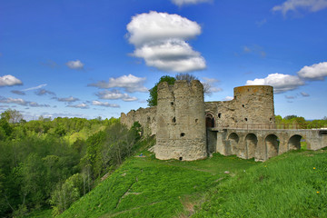 Fototapeta na wymiar medieval castle and green trees under blue sky with clouds