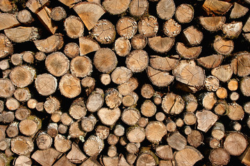 pile de bois