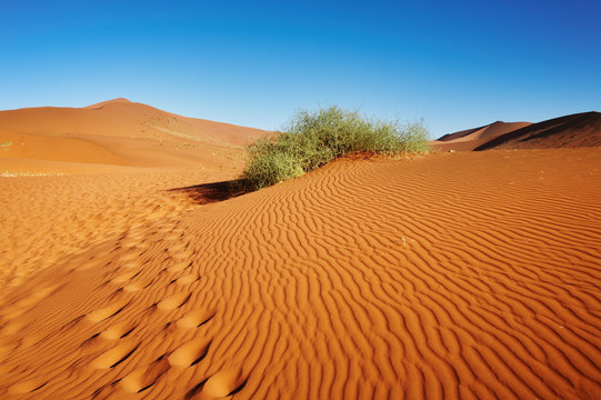 Namib Desert. Sossusvlei, Namibia.