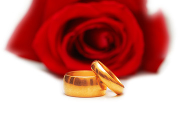 Two wedding rings and red rose isolated on white