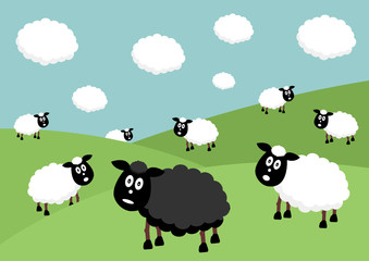 Obraz na płótnie Canvas Flock of sheep with the black sheep of the family