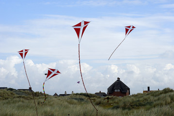 Sand Dune House and Kites