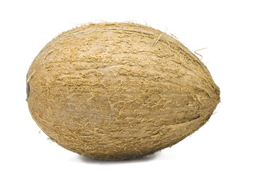 Coconut isolated on white with shadow