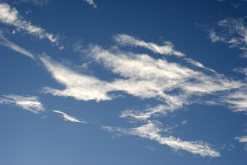 Naklejka na ściany i meble ciel; bleu; nuages; blanc