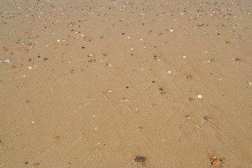plage et eau