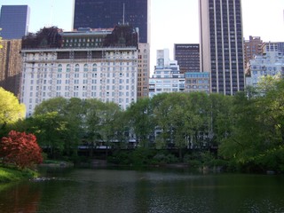Central Park 4