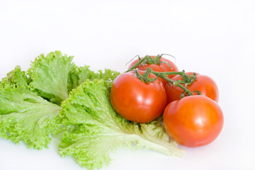 Tomato