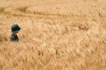 L'enfant dans le champs