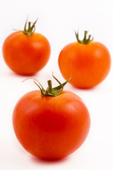 Three tomatoes in the long term on a white background.
