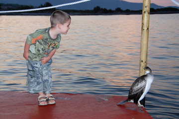 Bambino e cormorano
