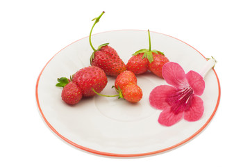 Strawberries and a flower on a saucer, isolated on white