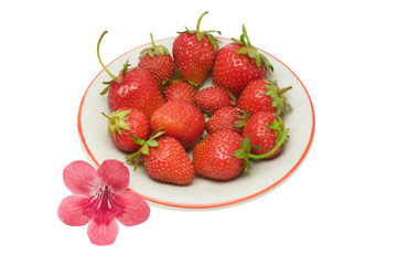 Strawberries on a saucer and a flower, isolated on white