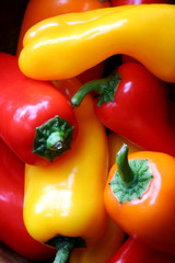 Mini capsicums or bell peppers ~ red, orange and yellow.